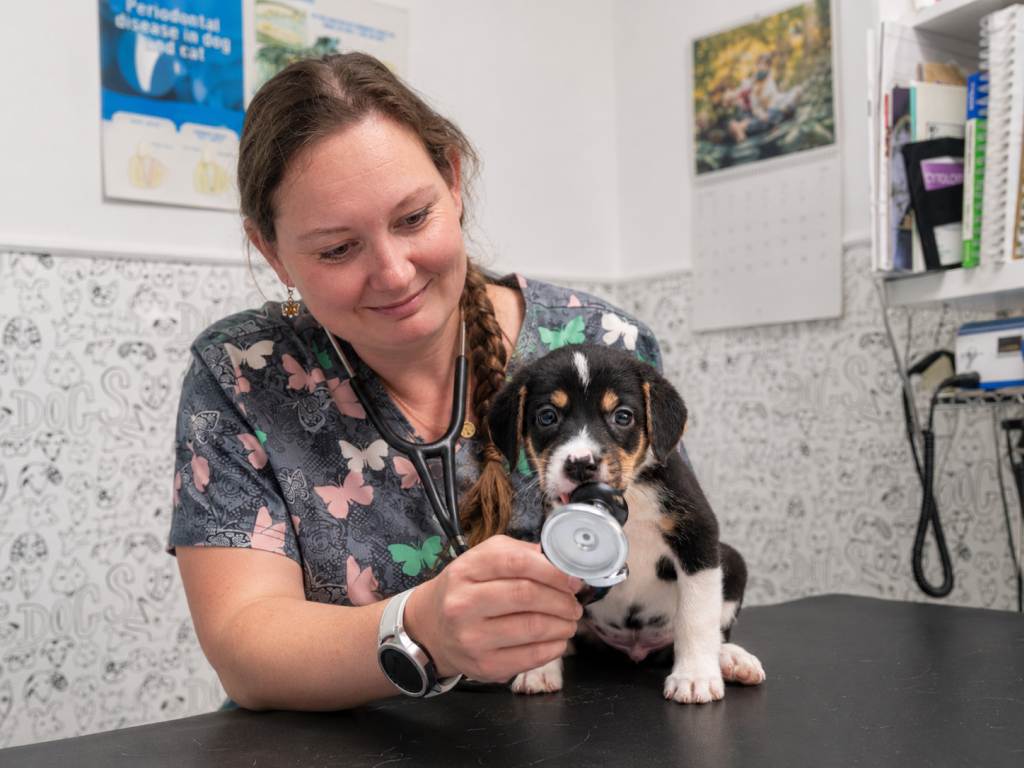 veterinářka se psem